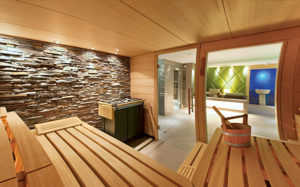 Basement ideas - saunas & spas