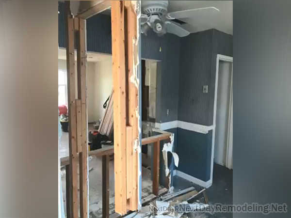 Kitchen renovation in Arlington, VA - project 26 (photo 30)